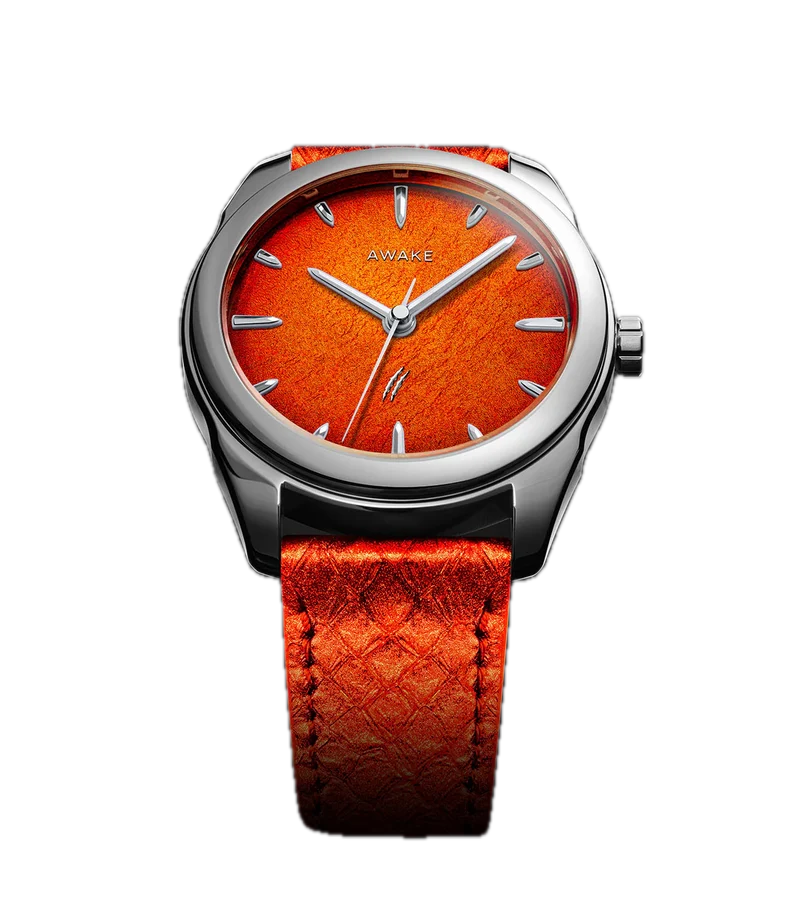 Jurassic Watch T-REX Edition