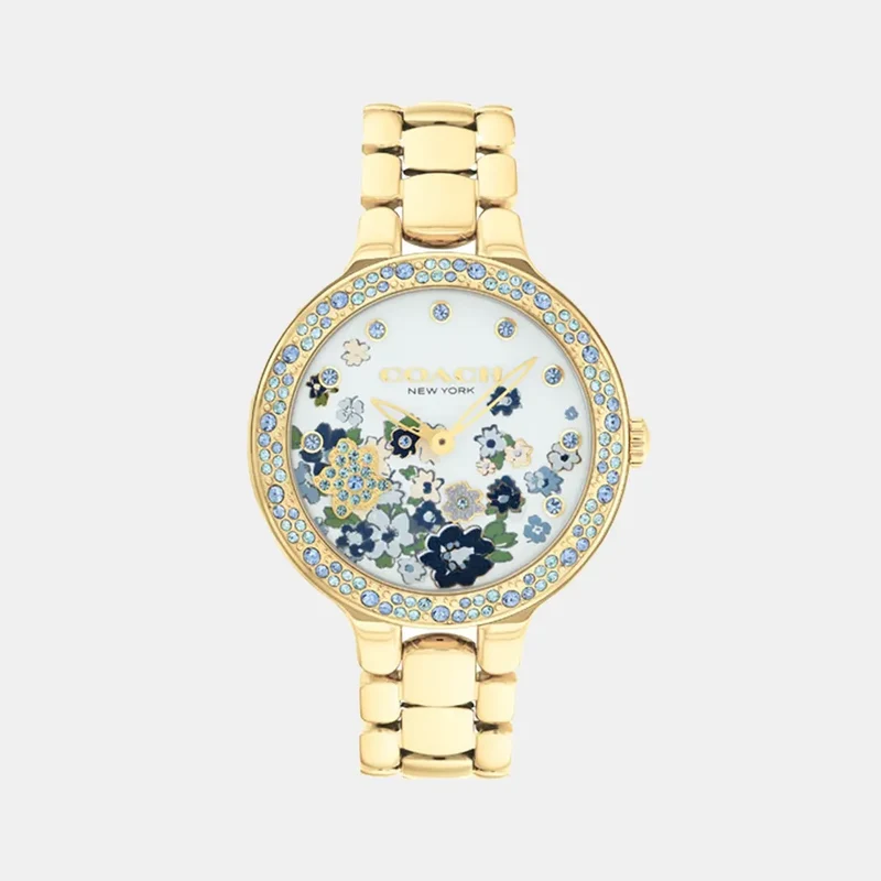 Montre COACH Femme Chelsea en Acier 14504500