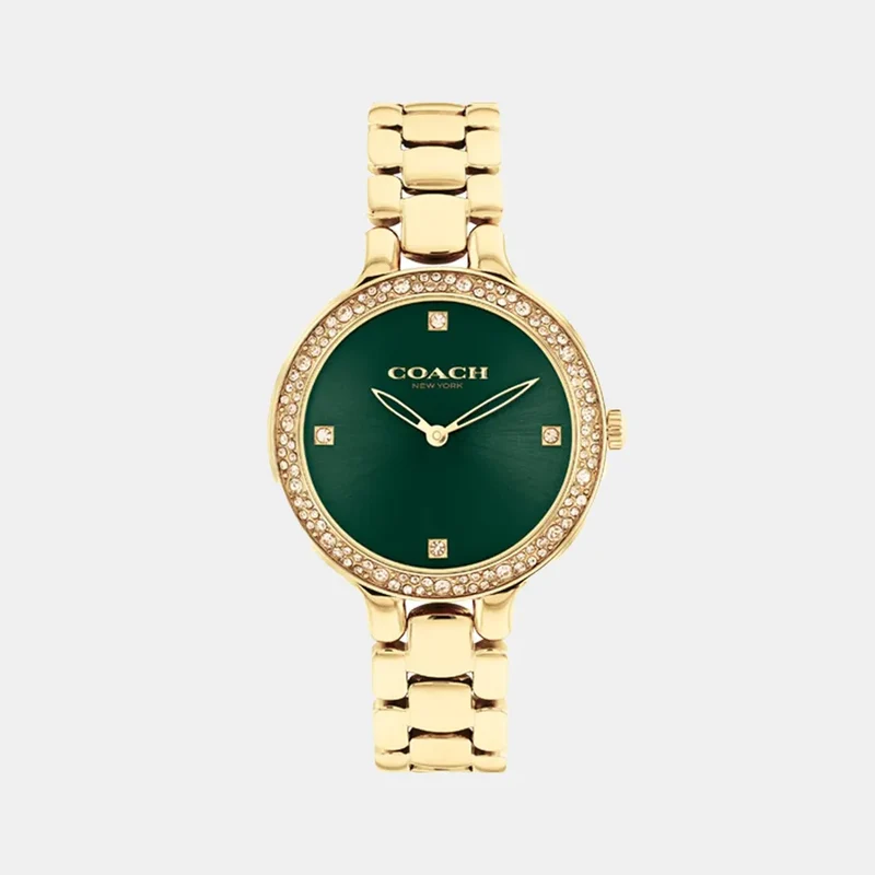 Montre COACH Femme Chelsea en Acier Doré 14504251