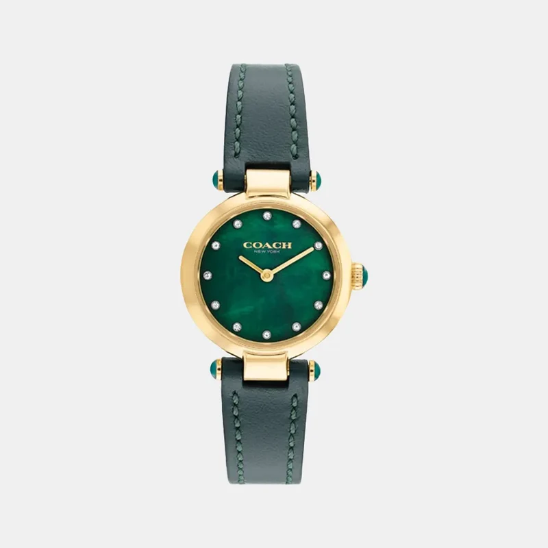 Montre COACH Femme Cary en Cuir Vert 14503951
