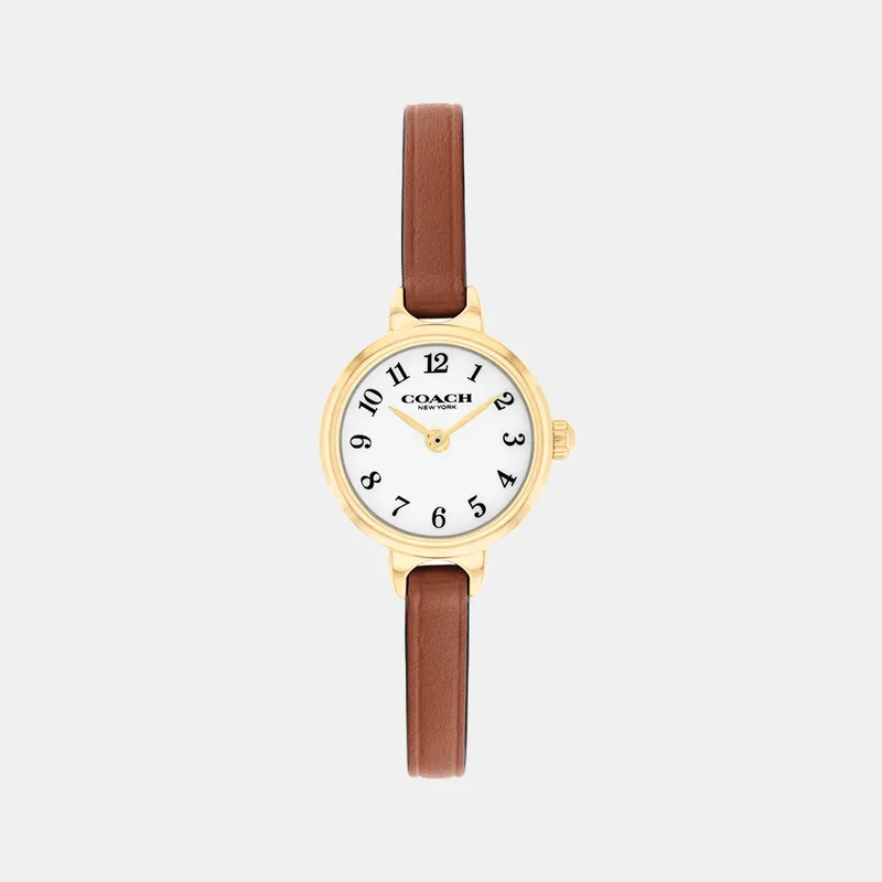 Montre COACH Femme en Cuir Marron 14504656