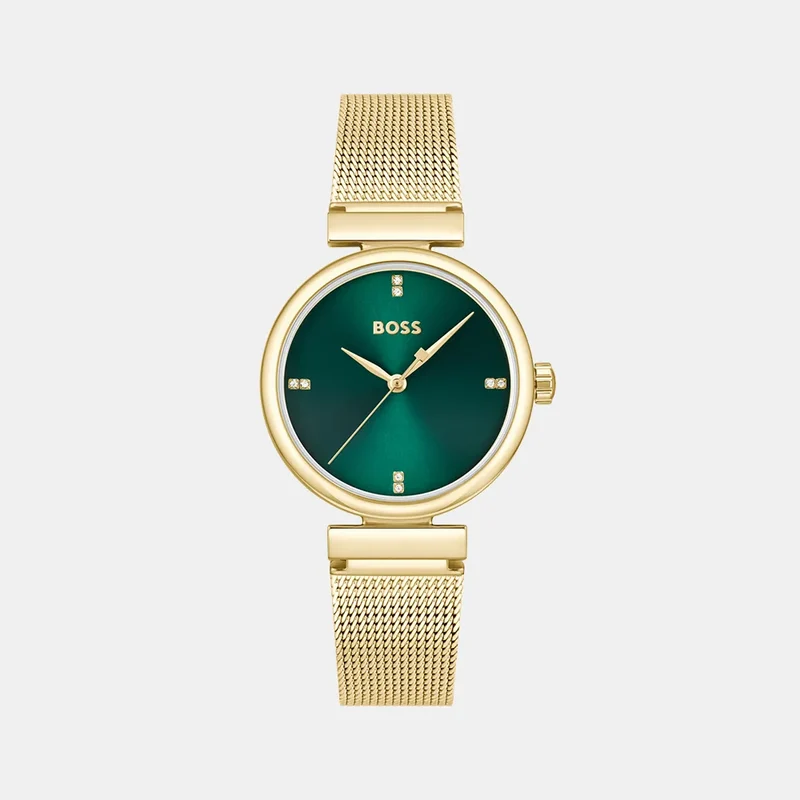 Montre BOSS Femme Rosehill en Acier Doré 1502855