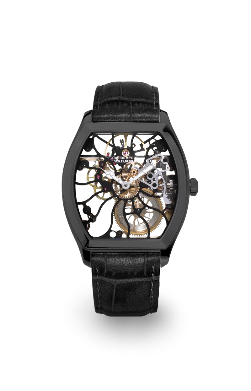Tortue raimbow 6047-nn 40mm